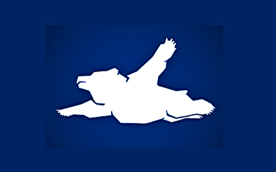 食材マッチング事業